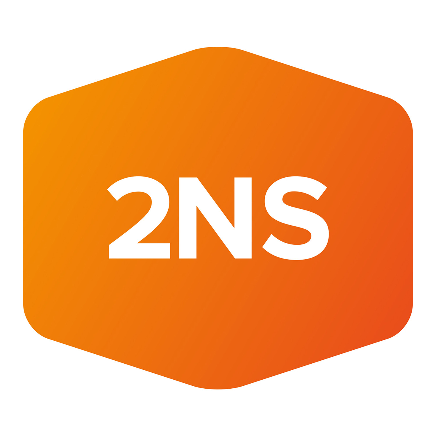 2NS – Tietoturvan asiantuntijat podcast artwork