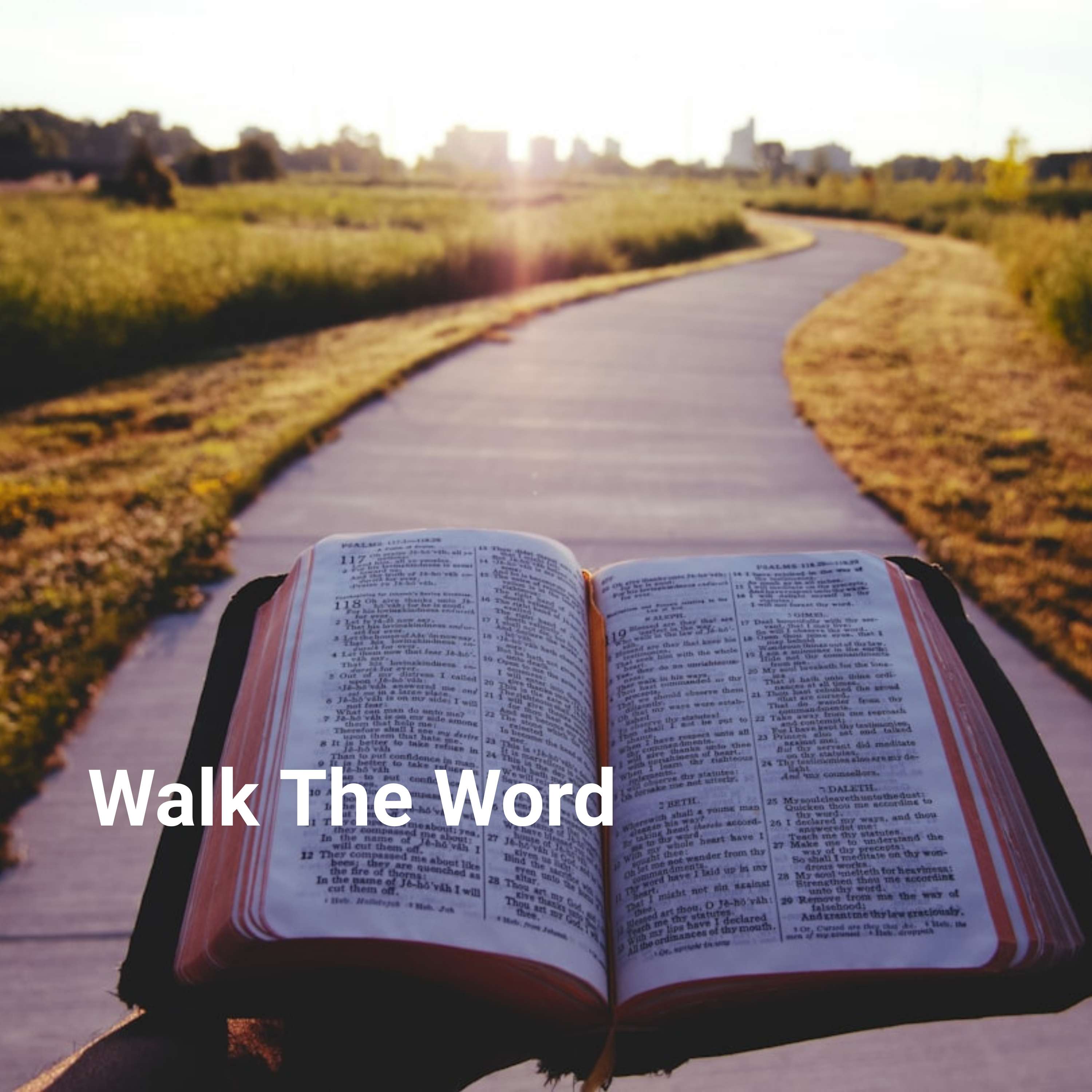 Walk The Word
