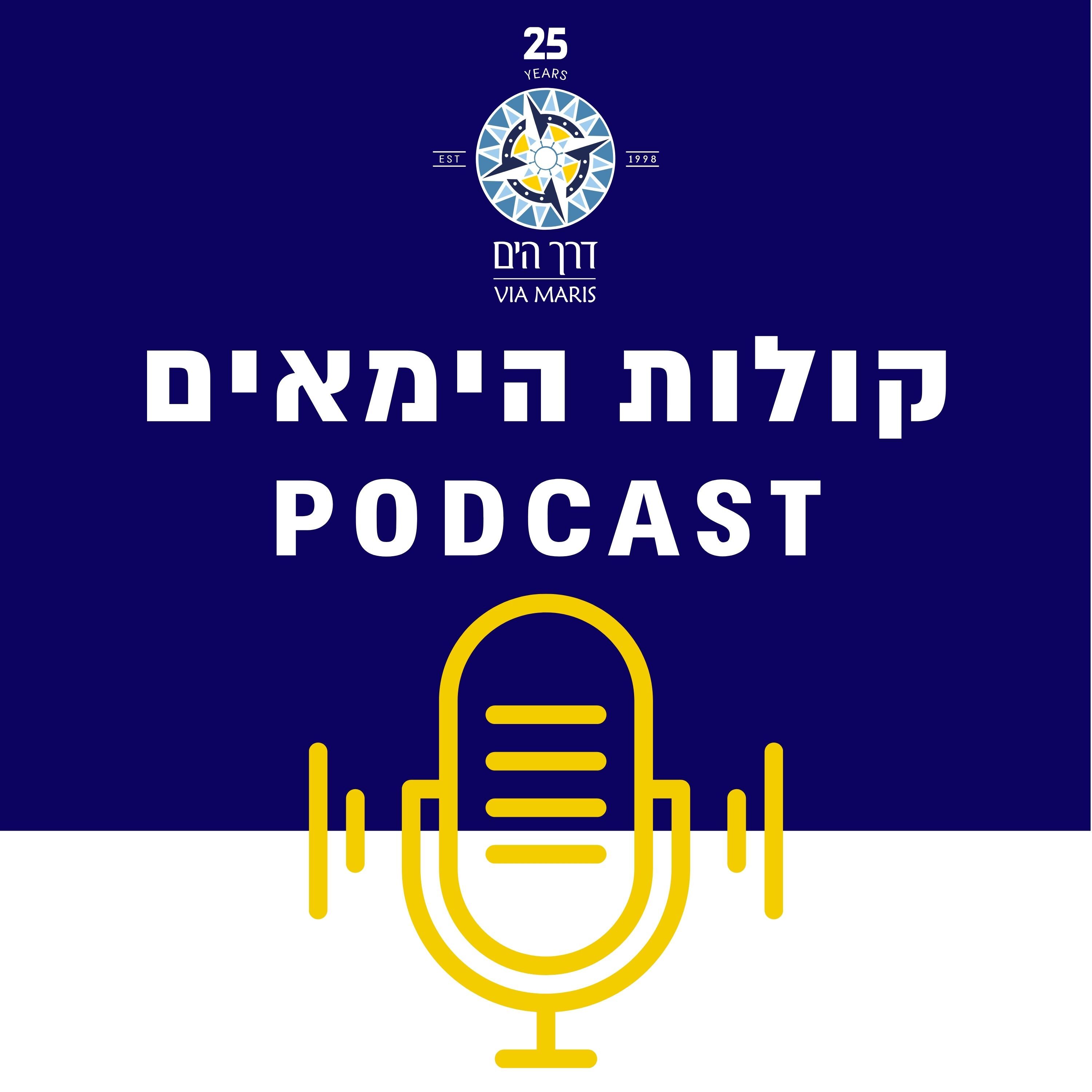 ברקים ברקים
