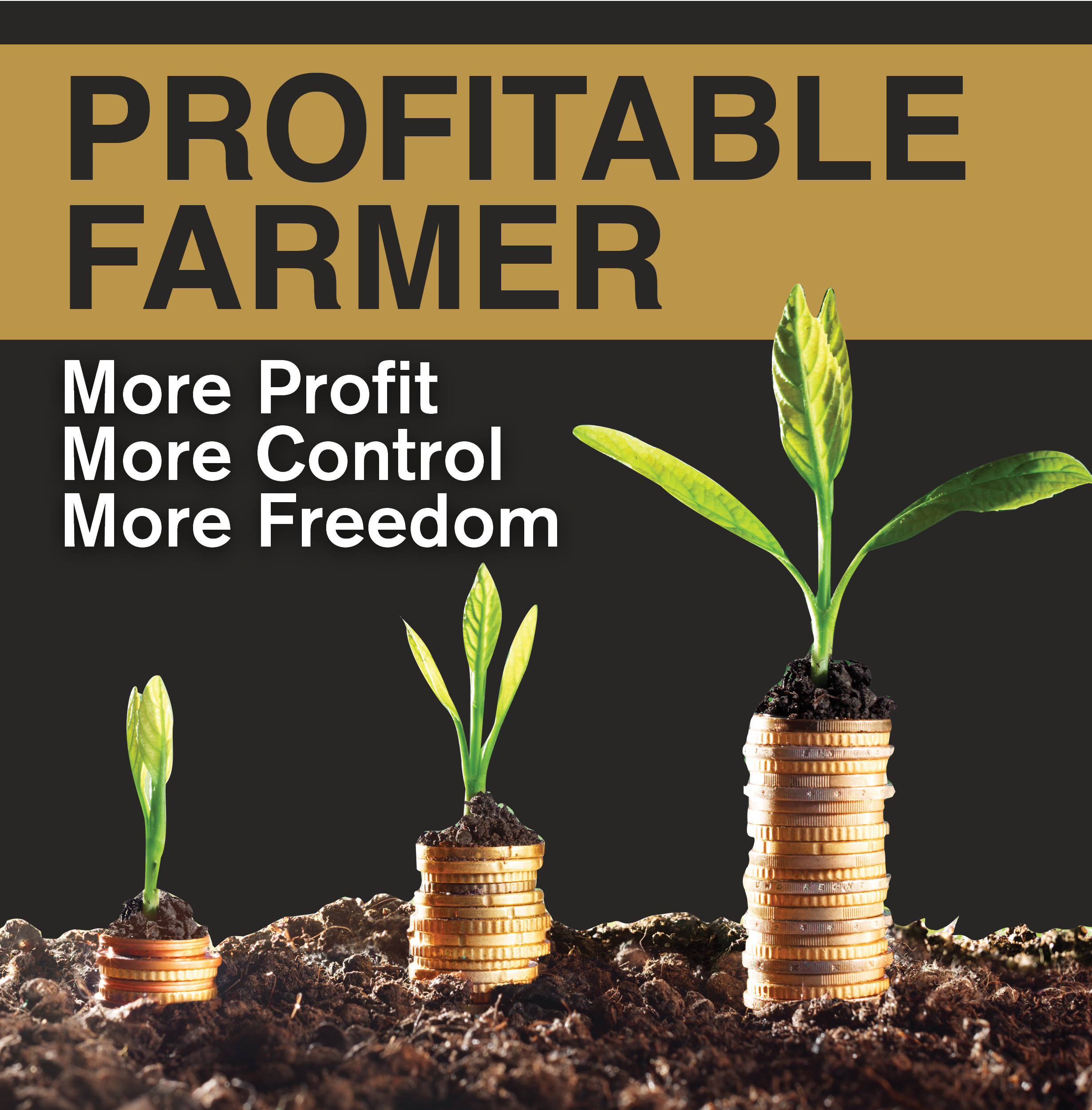 Where is more profitable to order the fence on the grave Where is more profitable to order the fence on the grave