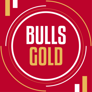 Bulls Clinch a Spot in the Play-In Tournament