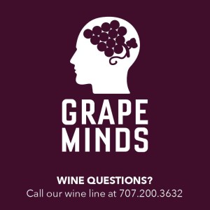 Episode 107: Dubbed the Perfect Holiday Wine; Tom Mortimer‘s Le Cadeau Pinot Noir is one for the wine geeks, too!