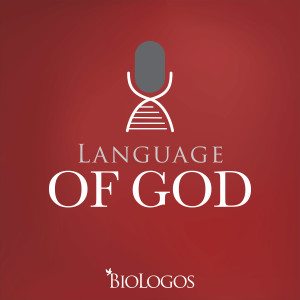 Language of God