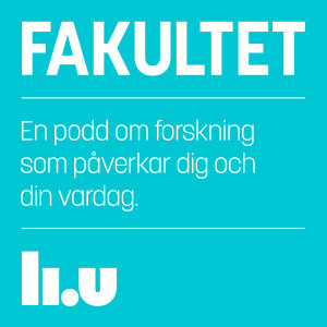 Fakultet Essä: Översättaren - med en kod att knäcka