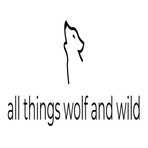 Who & Why will help explain how the wildlife system works. Listening in will make you a better advocate for wolves and wildlife.  Lets work together and "Take back our Wildlife>"