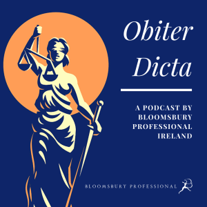 Practice and Procedure Part 2: Benedict Ó Floinn on the Criminal Assets Bureau and Witness Protection Programme