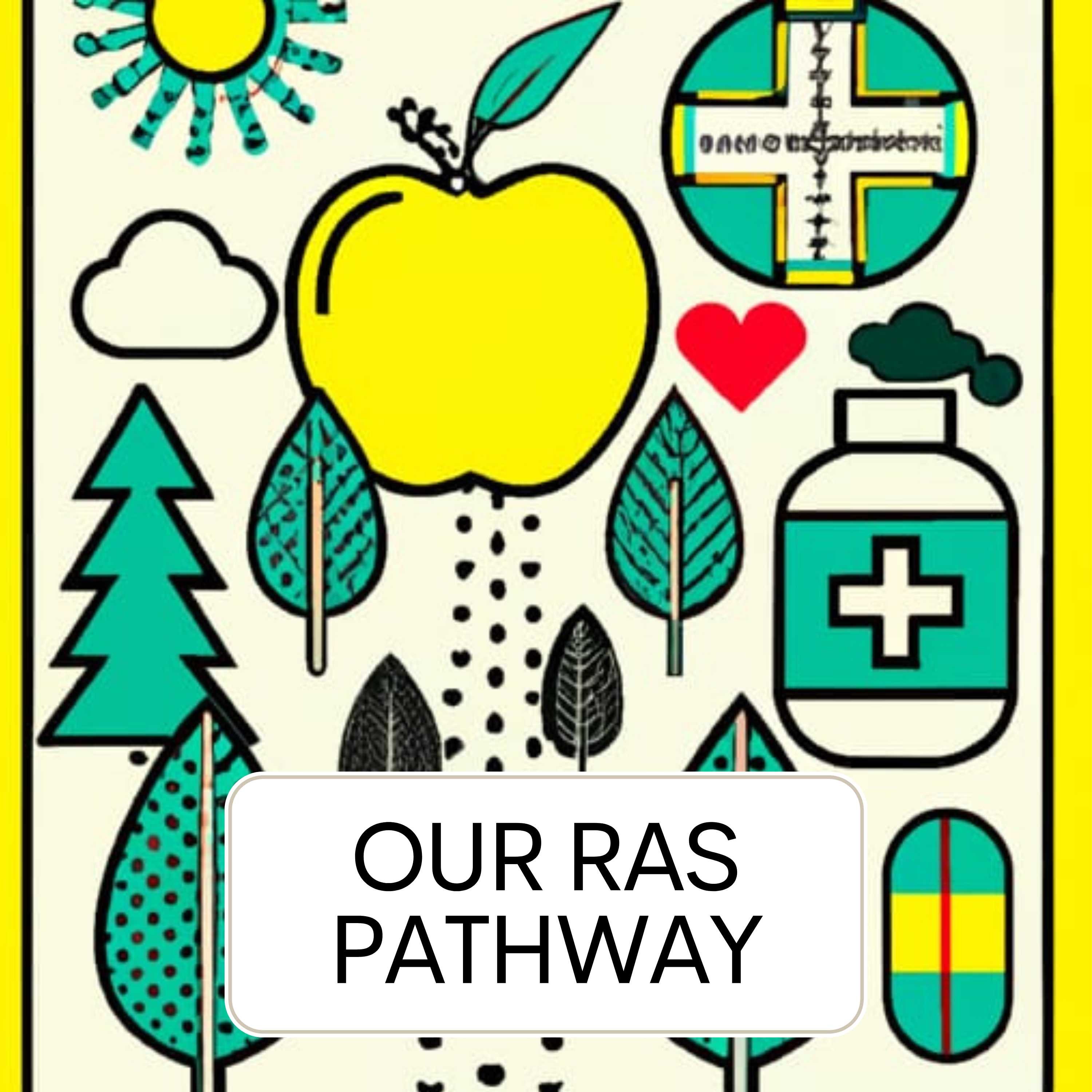 Our RAS Pathway
