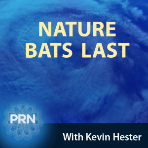 Nature Bats Last – 03.01.16