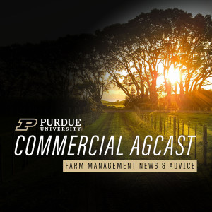 Critical Juncture for Crop Basis & Your Marketing Strategy for the Remainder of ’22 Crop