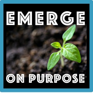 Episode 7: "How An Organization's Culture Helps Develop New Leaders"