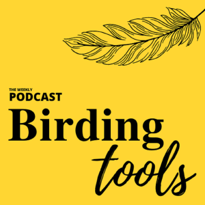 Bird Banding and the WBBA with Holly Garrod